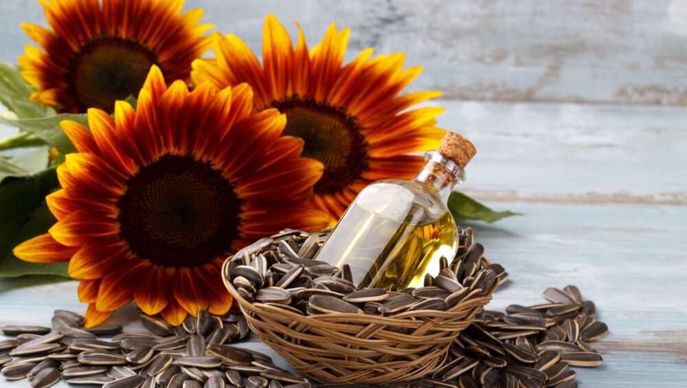 Sunflower Oil with seeds